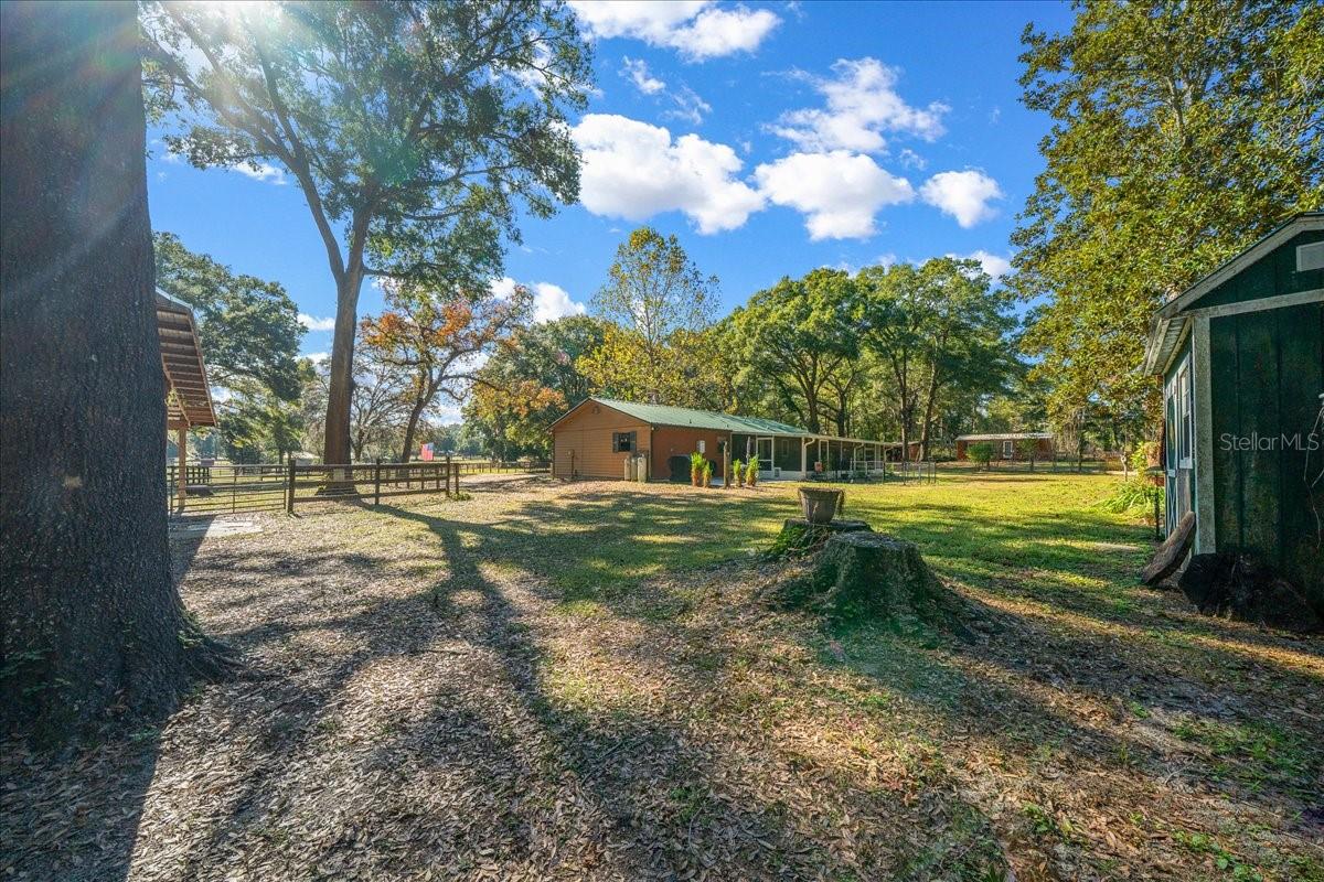 OCALA RIDGE - Residential