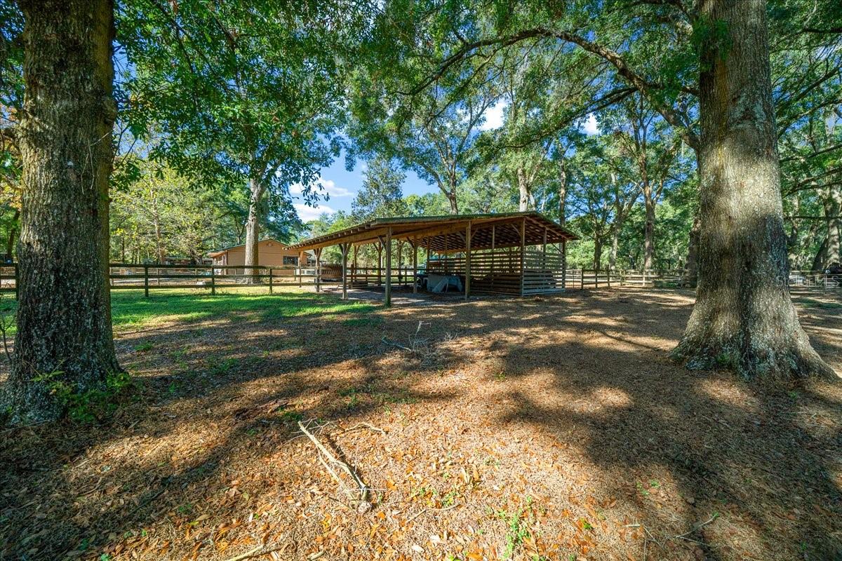 OCALA RIDGE - Residential