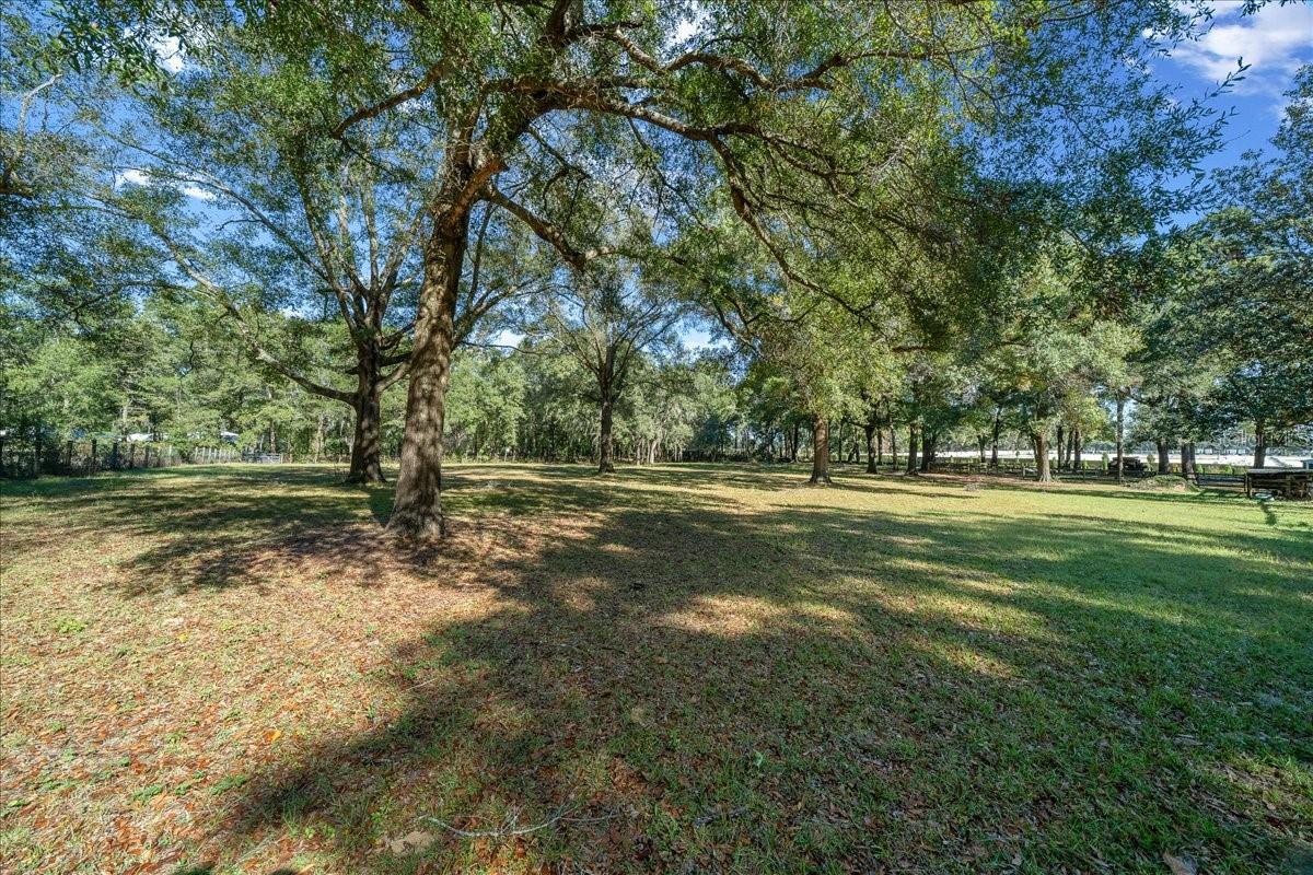 OCALA RIDGE - Residential