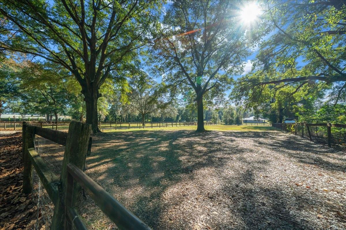 OCALA RIDGE - Residential