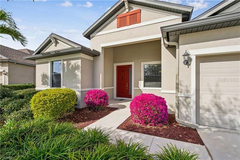 Photo of 11913 Sunburst Marble Road, Riverview, FL 33579 (MLS # C7520973)