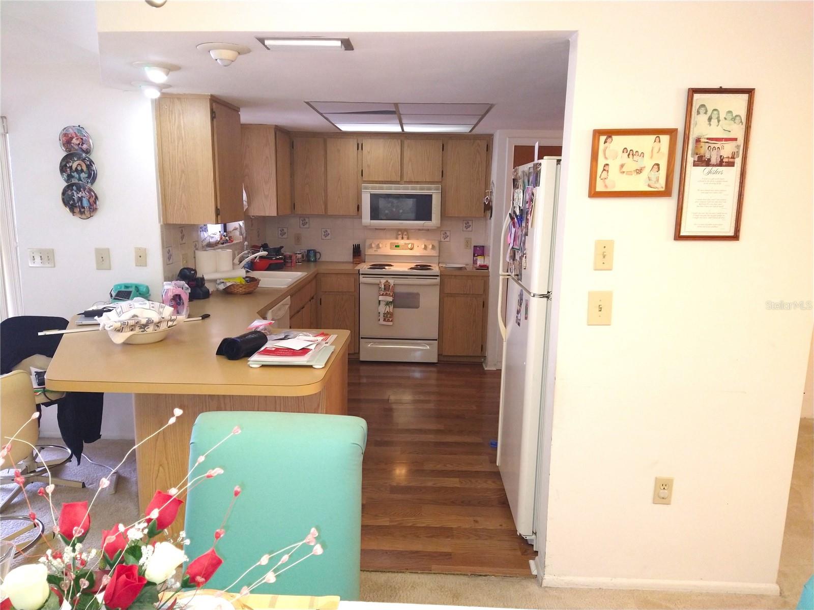 ORCHID LAKE VILLAGE - Residential