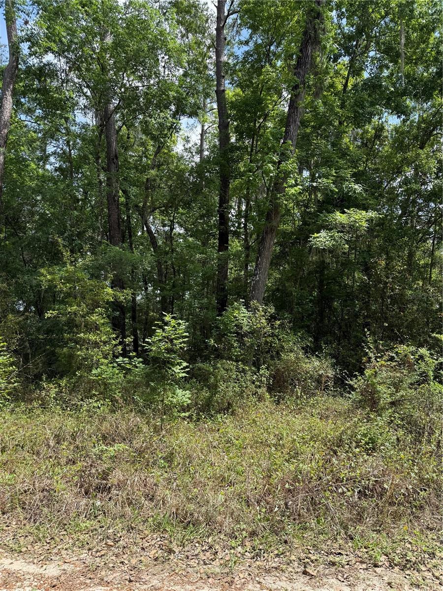 RAINBOW PARK UN 08 - Land