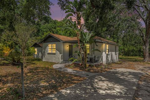 3006 E HENRY AVENUE TAMPA FL 33610