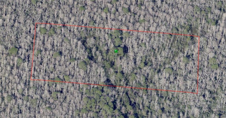 5 Acre lot located in DeLeon Springs.  While there is currently no access to this property, it is in an up coming area and could have excellent potential.