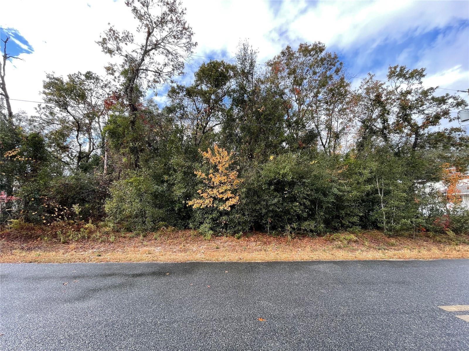Discover the perfect opportunity to build your dream home or investment property on this generous 0.29-acre lot, nestled in the highly desirable Orange Blossom Hills community of Summerfield, Florida. Surrounded by serene natural beauty, this peaceful and spacious parcel offers a tranquil setting while still keeping you close to everything you need.
Just minutes from shopping, dining, parks, and recreational activities, this prime location provides the ideal mix of quiet suburban living and everyday convenience. Easy access to major highways ensures you’re never far from nearby cities or attractions.
Whether you’re envisioning a forever home or planning a future development, this lot is a rare find in a thriving neighborhood. Don’t miss your chance to own a slice of Florida paradise in beautiful Summerfield!