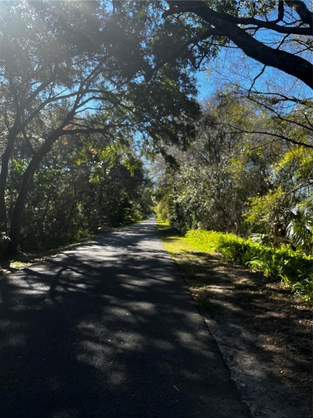 Photo of 310 Skytrail, Tampa, FL 33625 (MLS # TB8485355)