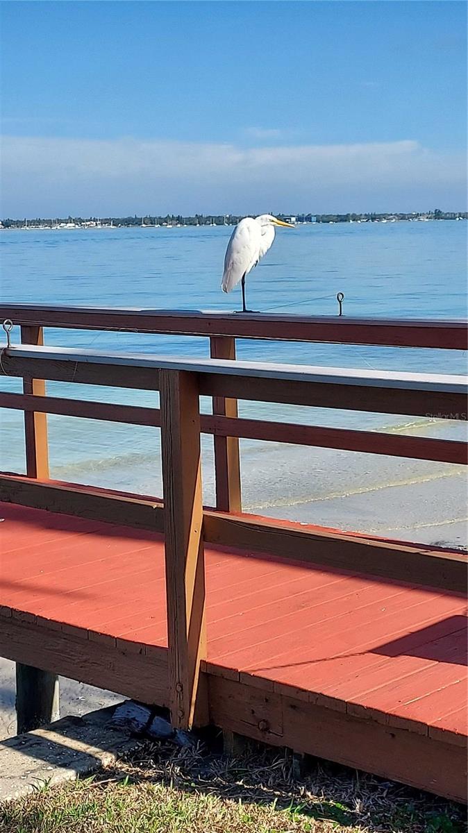 CASA DEL MAR CONDO III - Residential