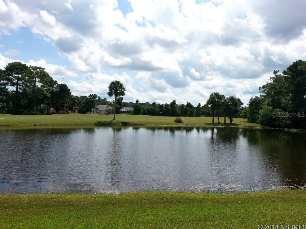 Golf Villas At Turnbull Bay Unit 01 - Residential