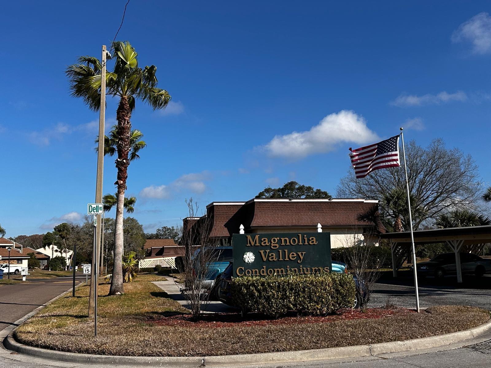 MAGNOLIA VALLEY CONDO - Residential