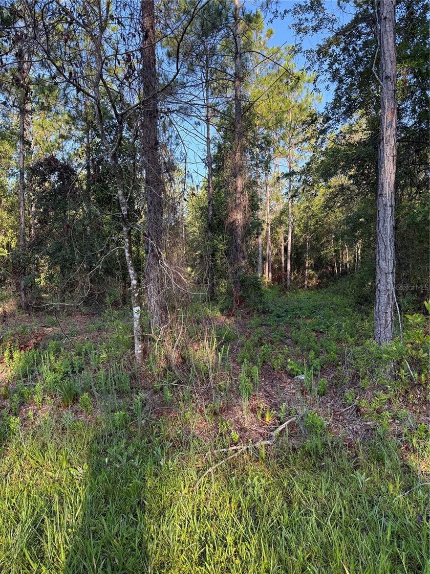 Look no further! Your perfect piece of land, at just over an acre, awaits! This property has been mostly cleared and is ready to begin the building process. Current owner has recent surveys that listing agent can provide.