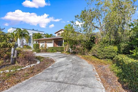 A home in TAMPA