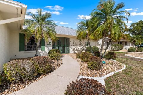 Photo of 2111 W View Drive, Sun City Center, FL 33573 (MLS # TB8485658)