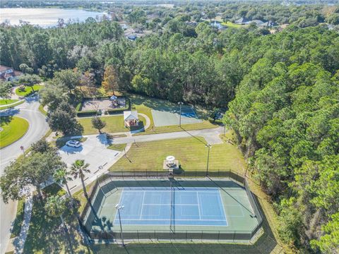Tiny photo for 3053 Isola Bella Boulevard, Mount Dora, FL 32757 (MLS # NS1086803)
