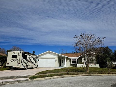 A home in PORT RICHEY