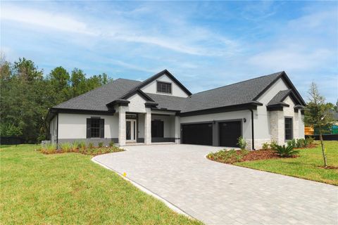 Photo of 19605 Autumn Oak Lane, Brooksville, FL 34601 (MLS # TB8430856)