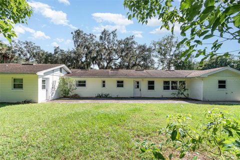 A home in MOUNT DORA