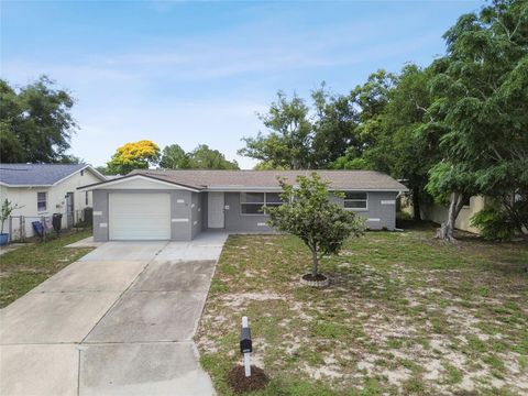 A home in PORT RICHEY