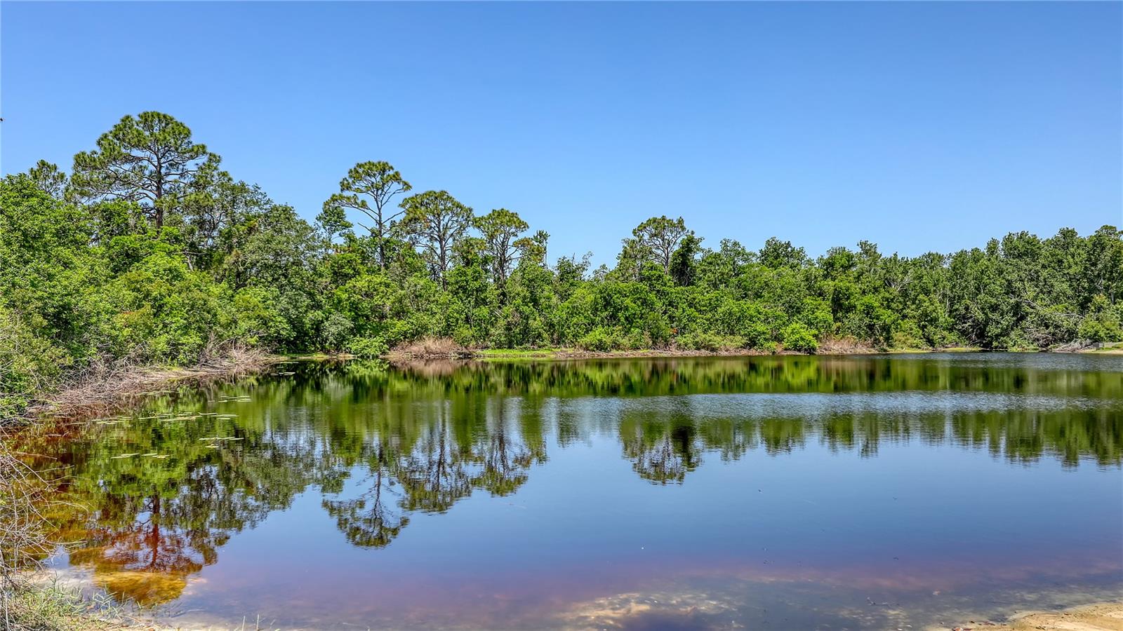 TREYMORE AT THE VILLAGES OF PALM-AIRE 3 - Residential