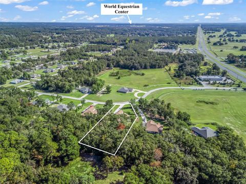 Tiny photo for 40 NW 113th Circle, Ocala, FL 34482 (MLS # OM713287)