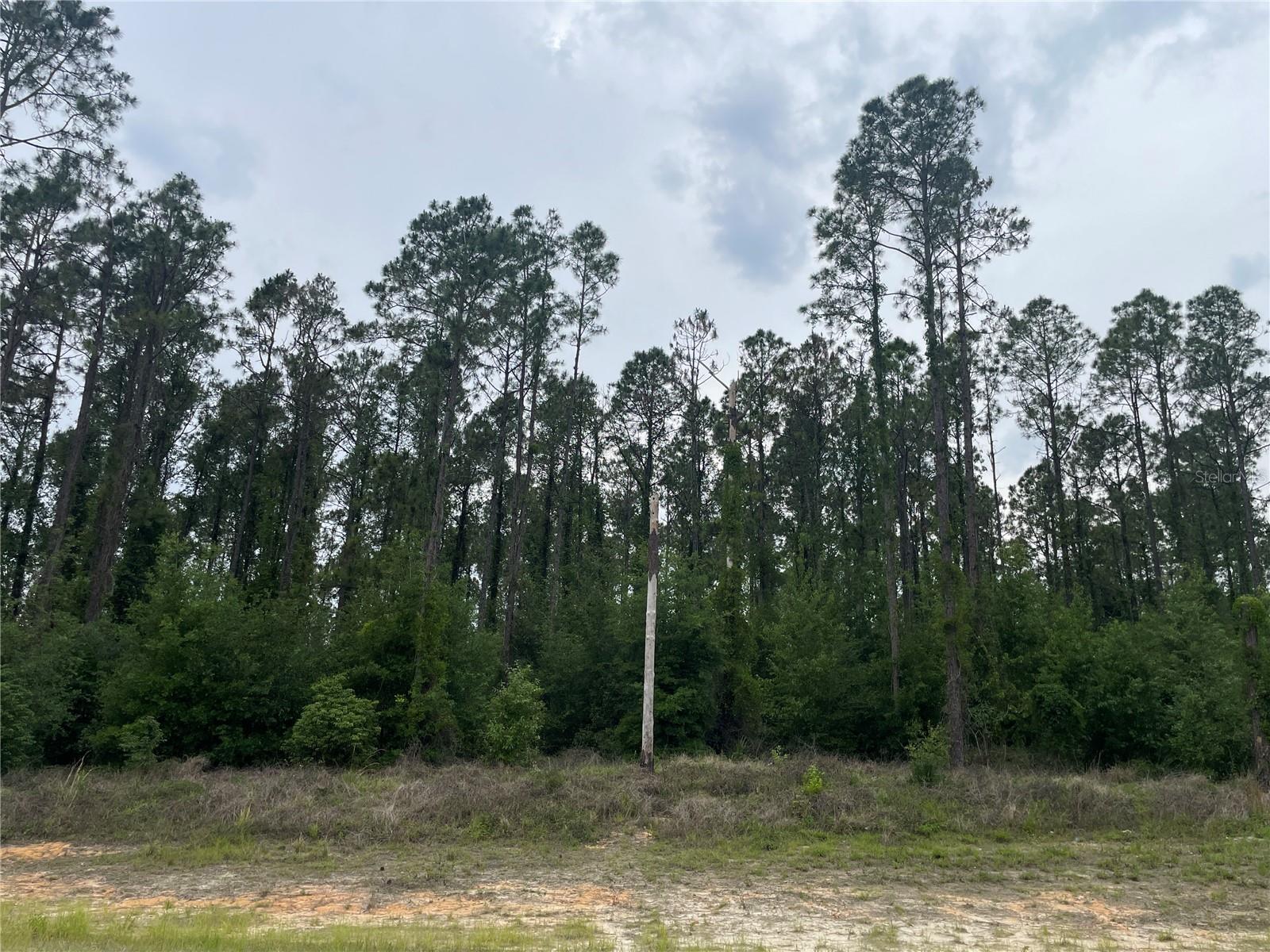 2NSA-2NSA - Residential Lease