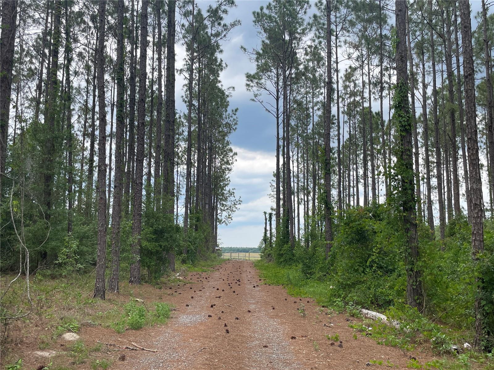 2NSA-2NSA - Residential Lease