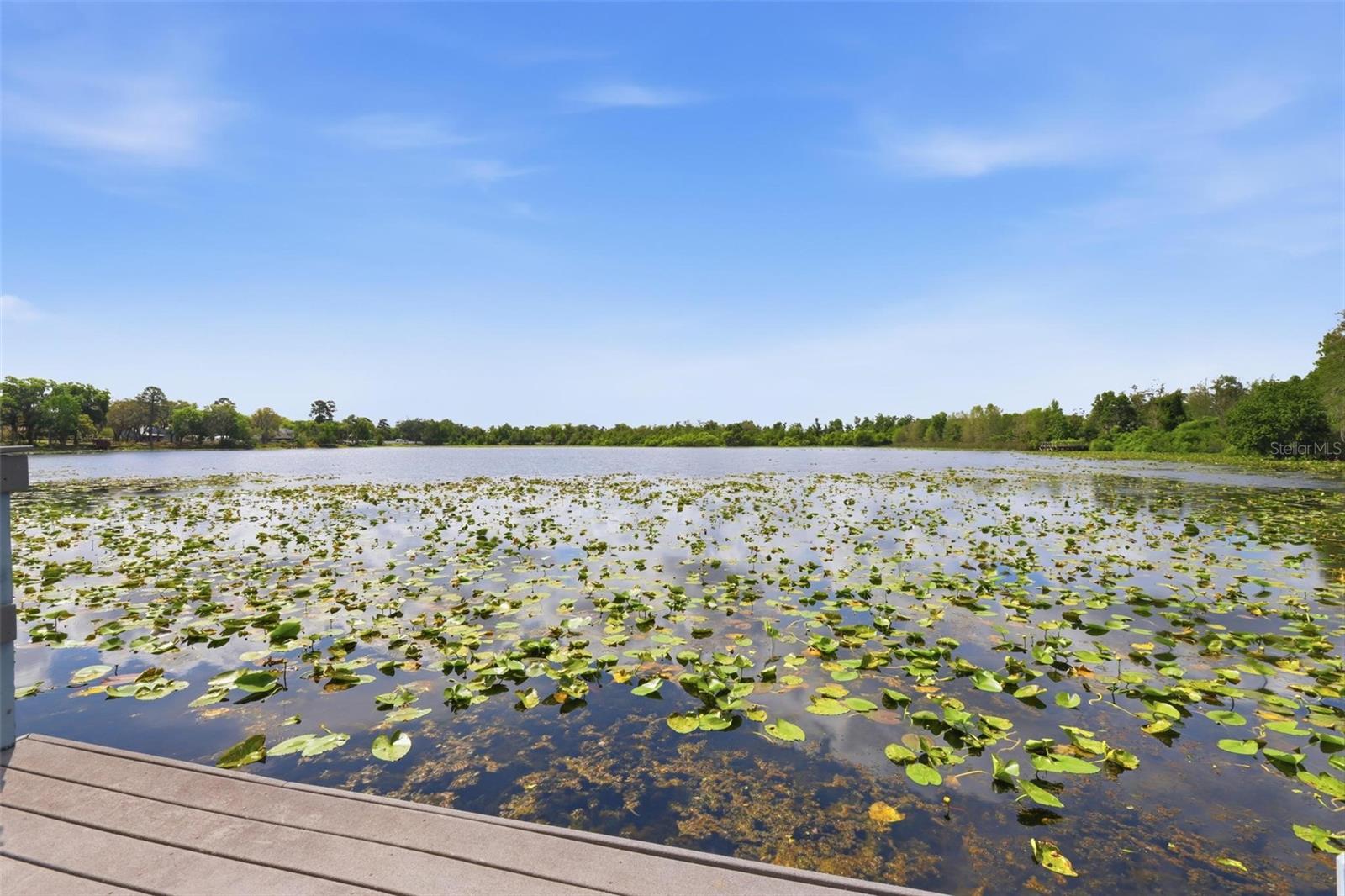 NORTHSHORE - Residential