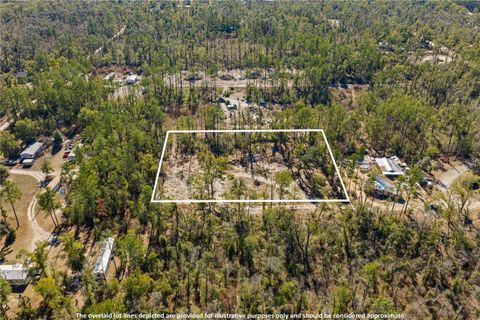 12TH TERRACE LIVE OAK FL 32060