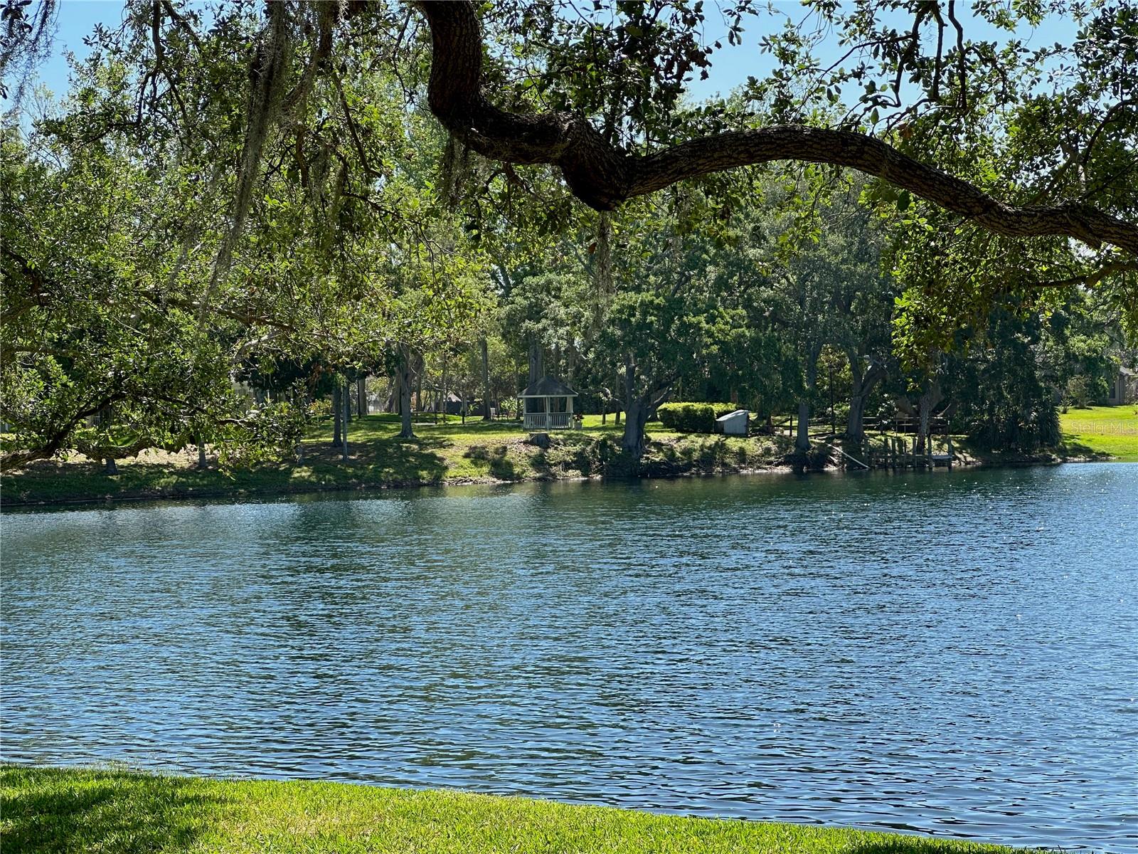 LAKE VALENCIA - - Residential