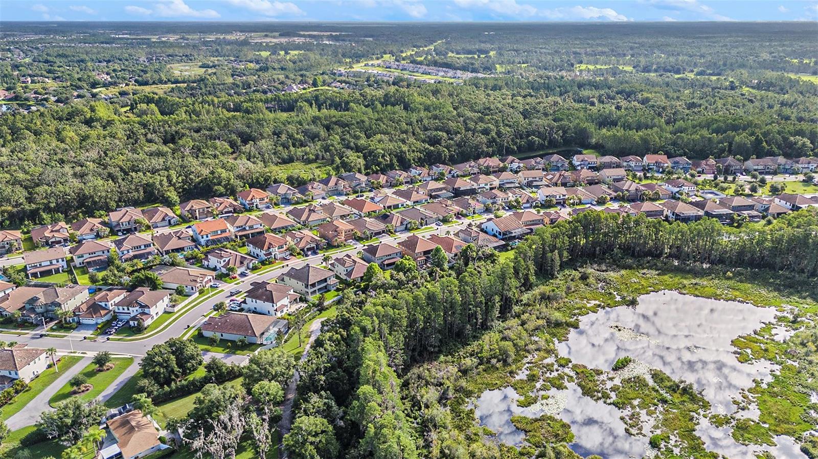 PRISTINE LAKE PRESERVE - Residential