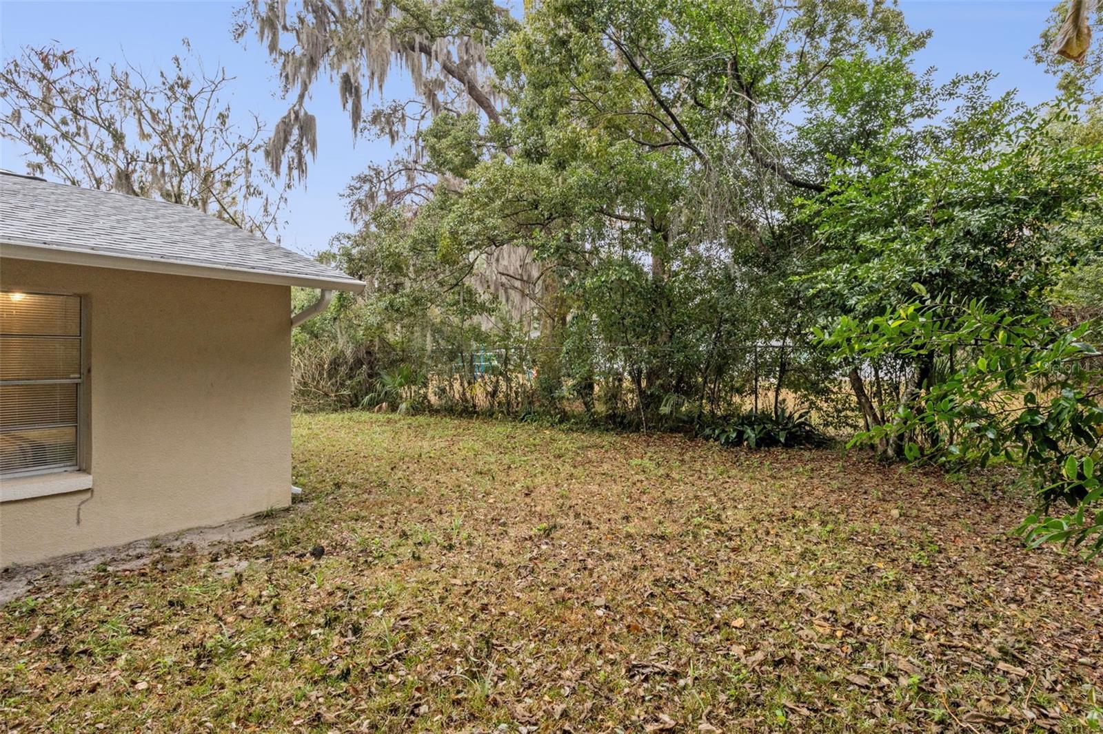 MOUNT DORA - Residential