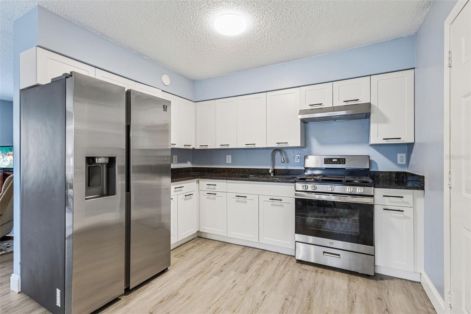 MOUNT DORA - Residential