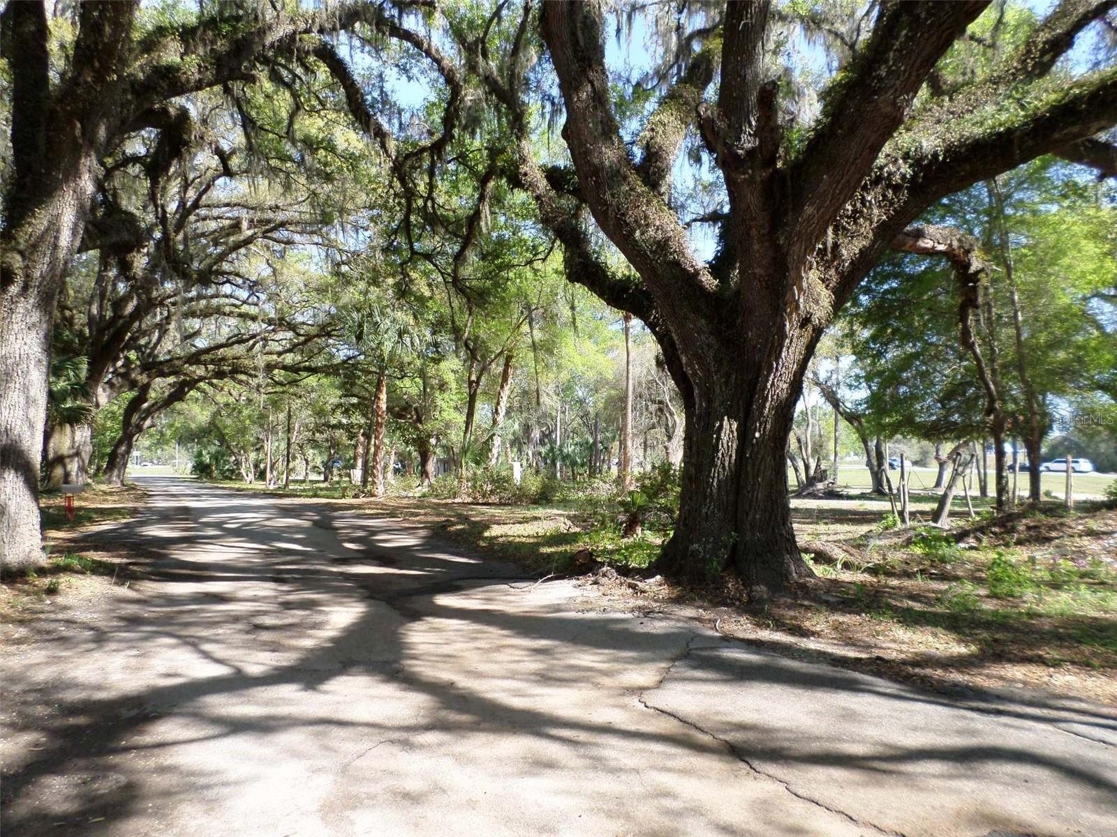 DUNNELLON - Commercial Sale