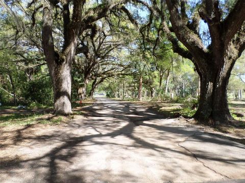 Tiny photo for 1991 W Test Ct, Dunnellon, FL 34433 (MLS # OM721233)