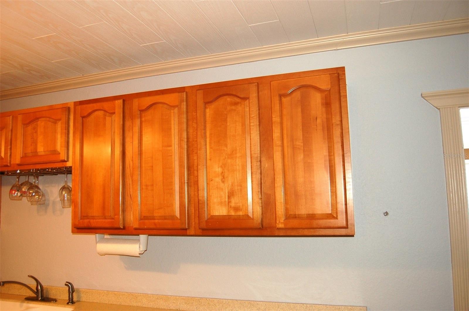 LAKE ALFRED REP - Residential