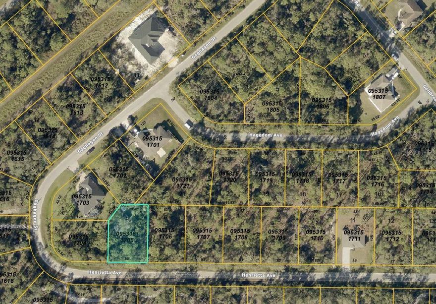 Owner financing available. Discover the perfect blend of lifestyle and opportunity with this 0.23-acre lot in North Port, Florida. Tucked in a growing neighborhood, this property offers the ideal setting to build your dream home or add to your investment portfolio. Imagine mornings just minutes from Gulf Coast beaches, afternoons on the golf course, and evenings enjoying local dining and shopping all within easy reach. With its central location and no HOA restrictions, this lot is as practical as it is inviting. Sarasota County to expand, making this property a smart choice for those looking to secure a piece of Florida's future. Whether you're planning to build now or hold as a long-term investment, this parcel puts you in the heart of one of Southwest Florida's most desirable areas. address for directional 5058 gaghagen.