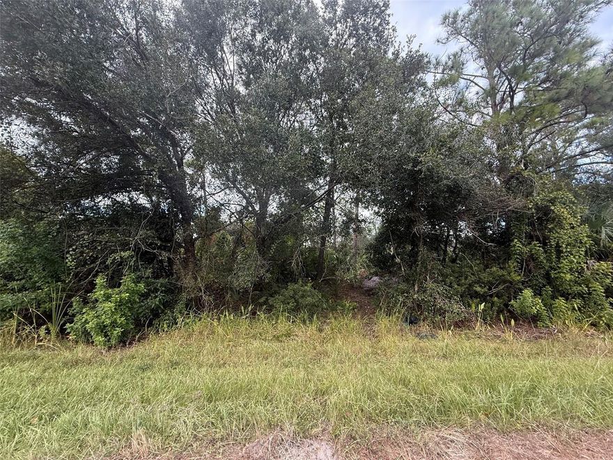 Owner financing available. Discover the perfect blend of lifestyle and opportunity with this 0.23-acre lot in North Port, Florida. Tucked in a growing neighborhood, this property offers the ideal setting to build your dream home or add to your investment portfolio. Imagine mornings just minutes from Gulf Coast beaches, afternoons on the golf course, and evenings enjoying local dining and shopping all within easy reach. With its central location and no HOA restrictions, this lot is as practical as it is inviting. Sarasota County to expand, making this property a smart choice for those looking to secure a piece of Florida's future. Whether you're planning to build now or hold as a long-term investment, this parcel puts you in the heart of one of Southwest Florida's most desirable areas. address for directional 5058 gaghagen.