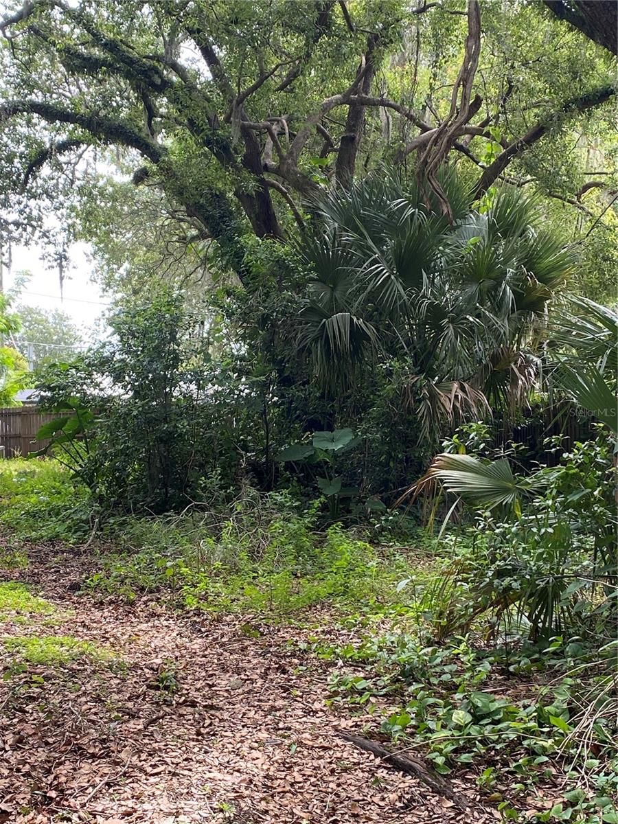 PALMETTO