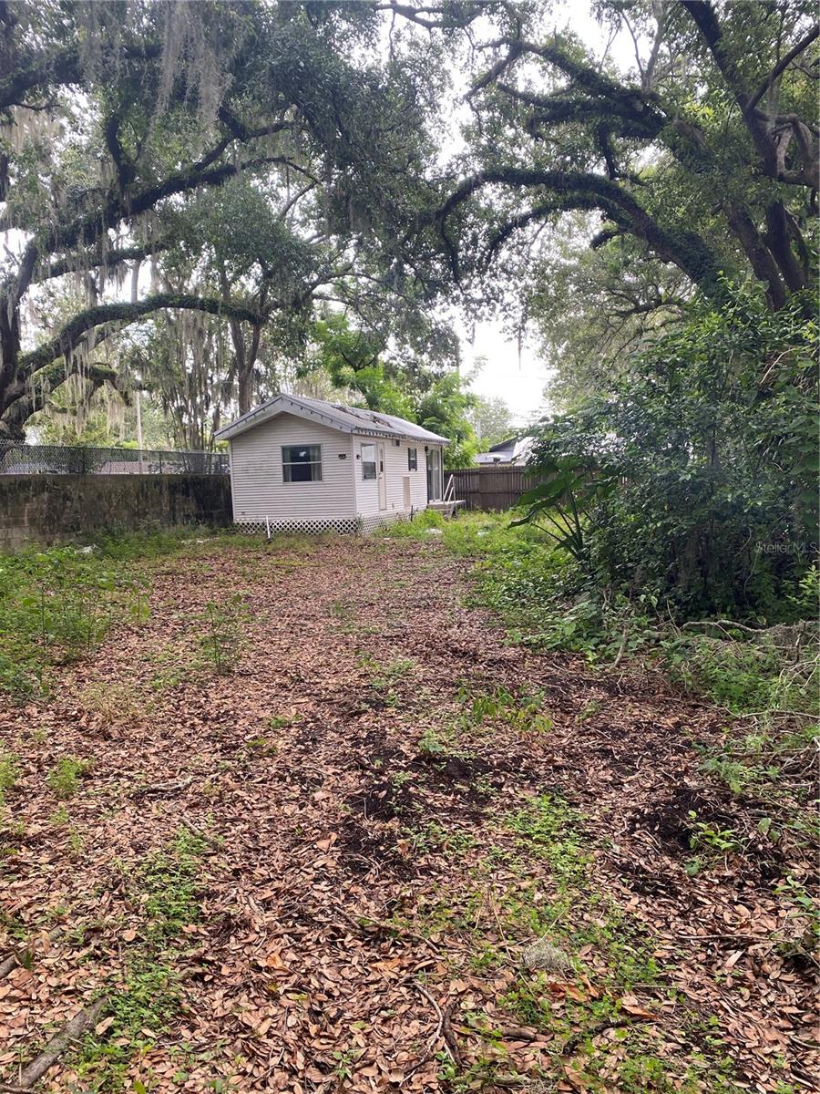 PALMETTO