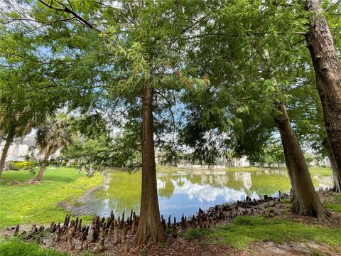 A home in ORLANDO