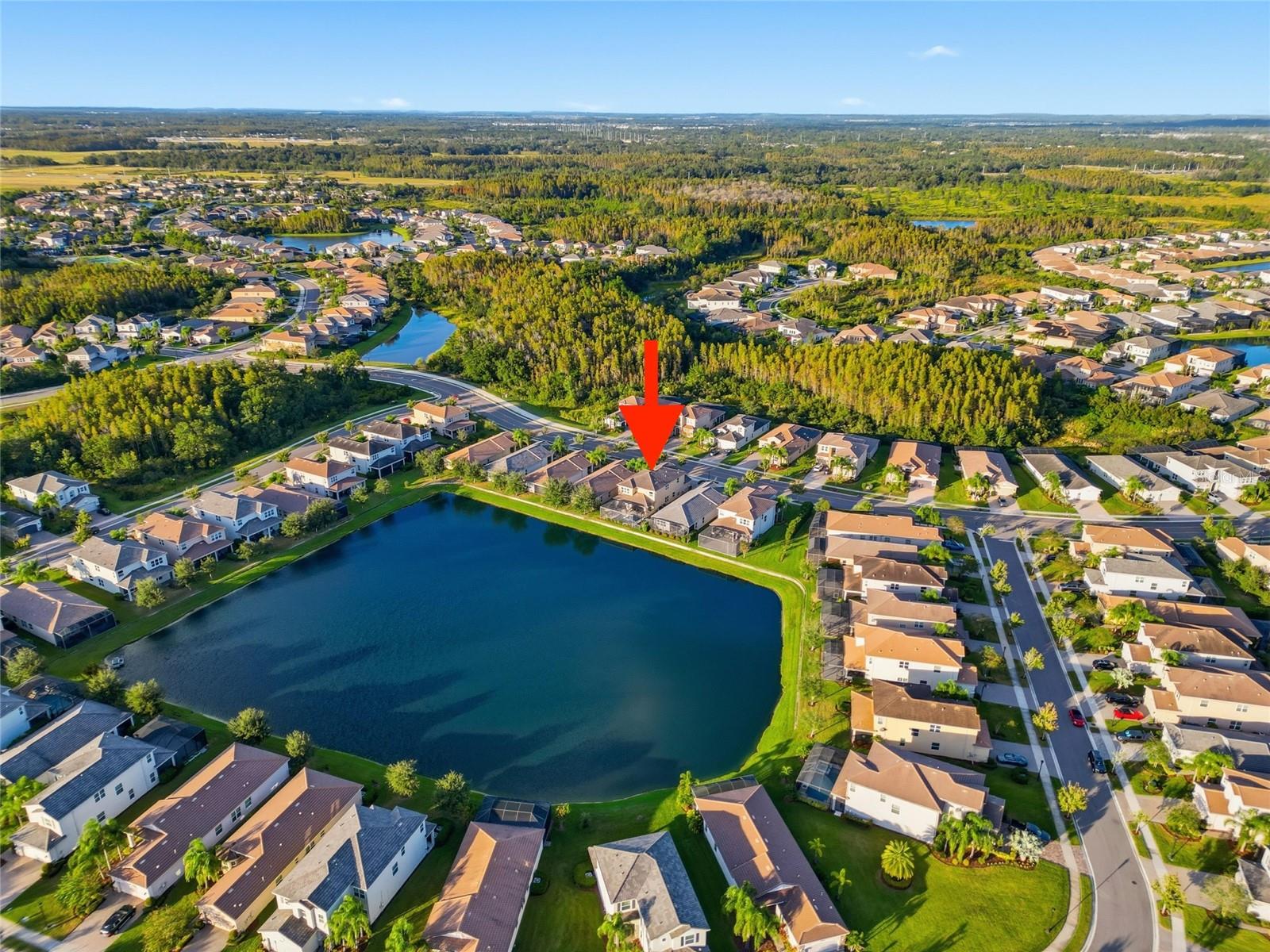 THE RIDGE AT WIREGRASS - Residential