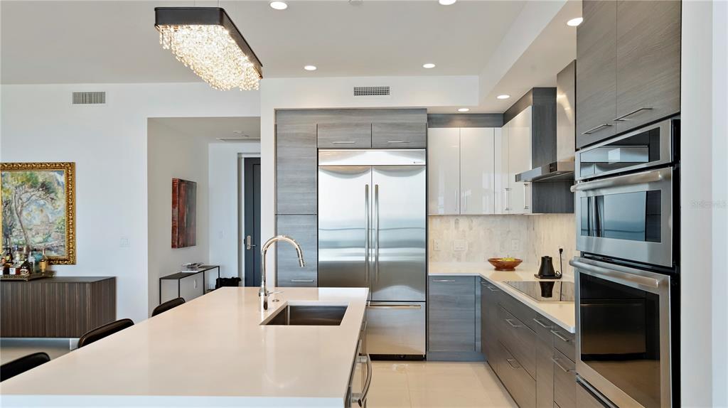 ONE ST PETERSBURG CONDO - Residential