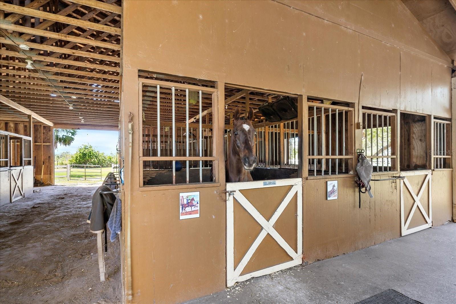 NOT PART OF A SUBDIVISION - Residential