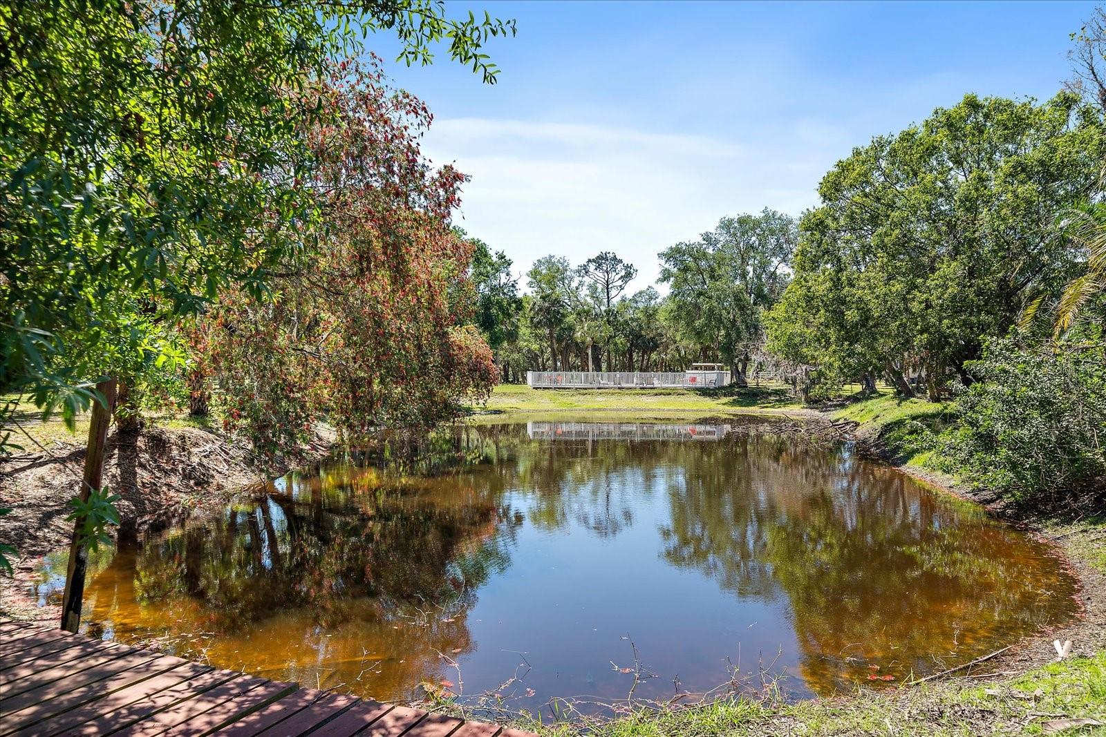 NOT PART OF A SUBDIVISION - Residential