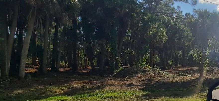 2 adjoining lots in Englewood. Both lots have city water and high speed internet. No HOA or restrictions. Includes 9353 Portillo Ave & 9352 Willmington Blvd Englewood FL. Lots 21 & 10.