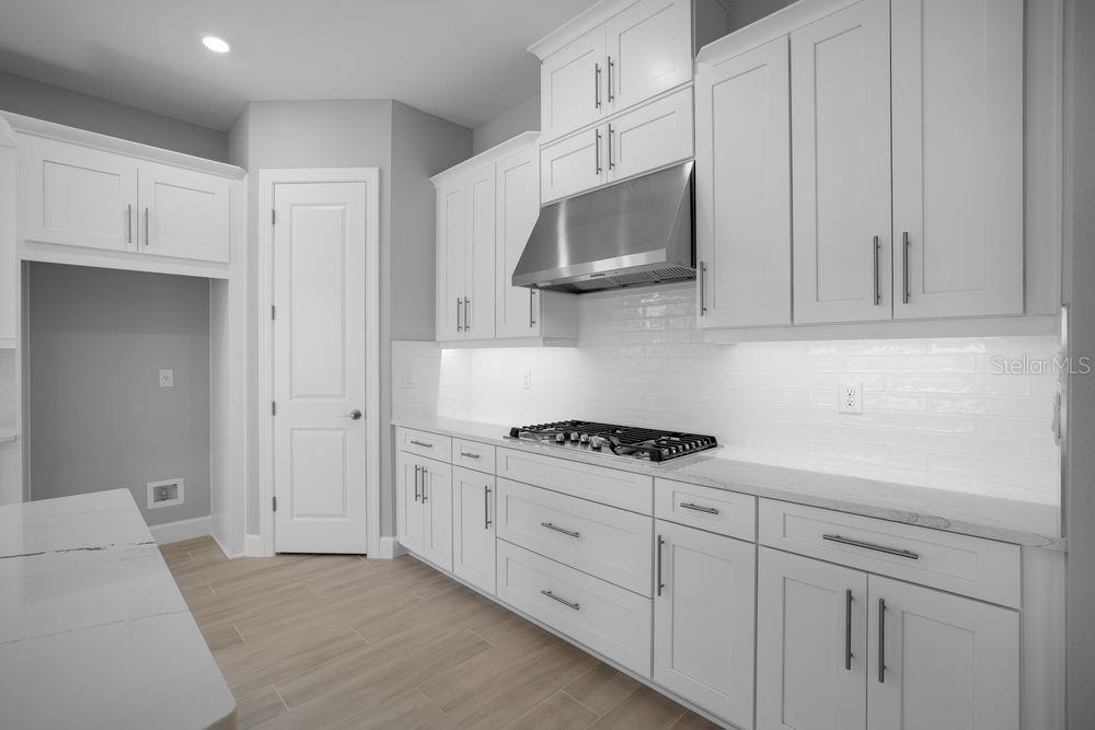 ESPLANADE AT SKYE RANCH - Residential