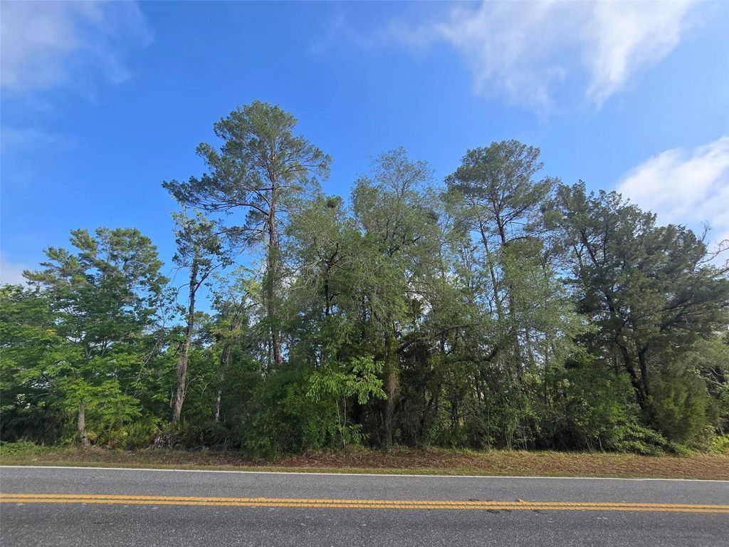 Photo of 10185 Noddy Tern Road, Weeki Wachee, FL 34613 (MLS # W7885726)