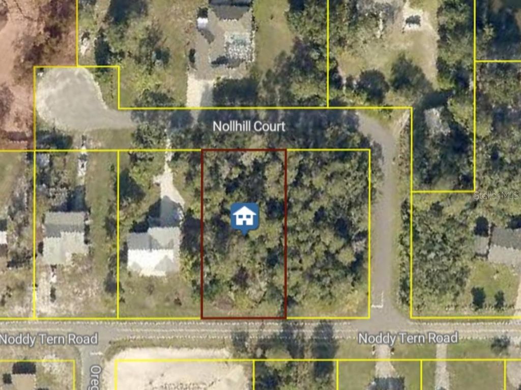 Photo of 10185 Noddy Tern Road, Weeki Wachee, FL 34613 (MLS # W7885726)