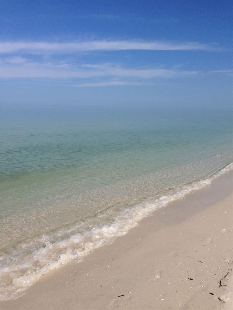 CLEARWATER BEACH REV - Residential