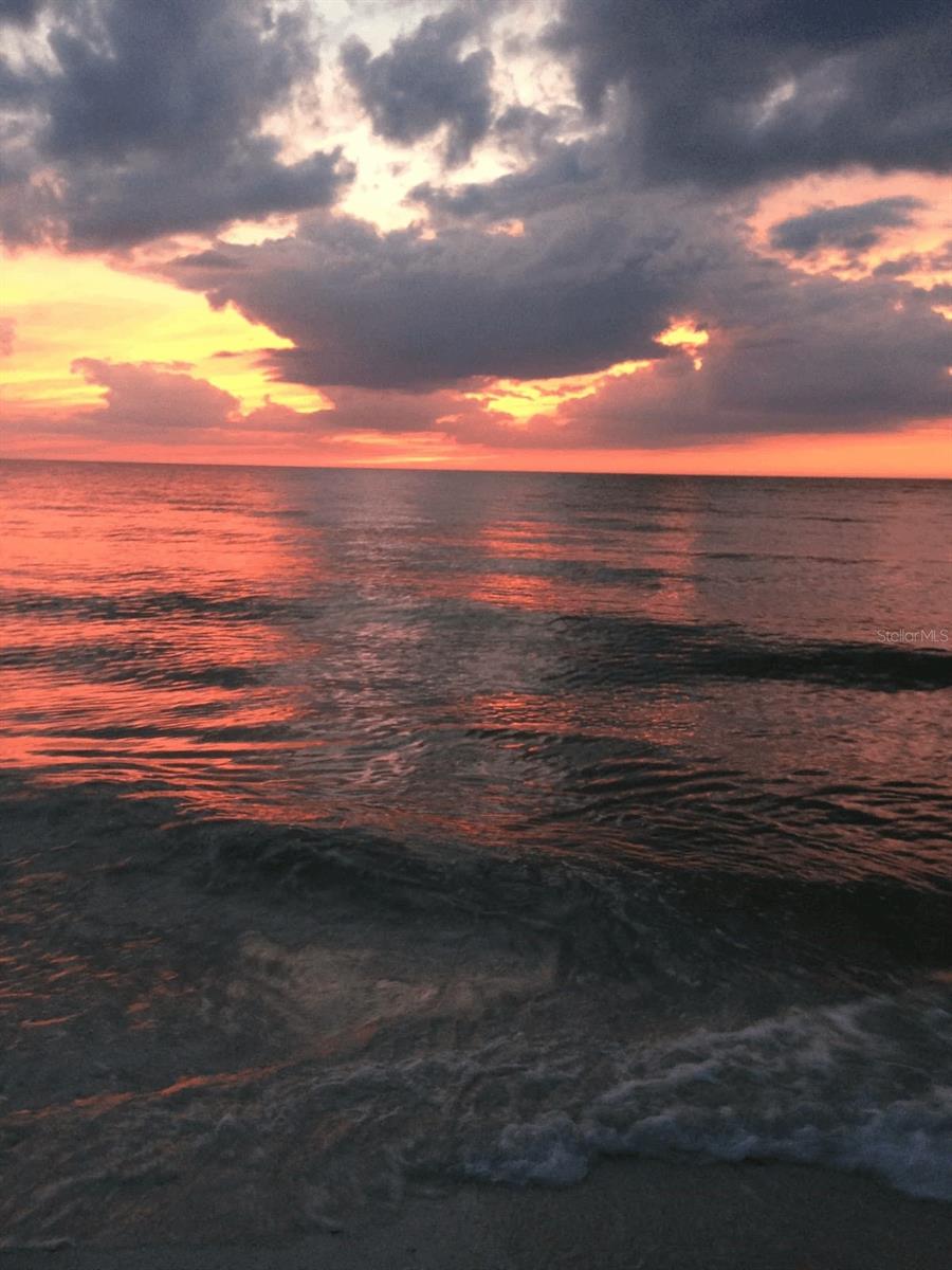 CLEARWATER BEACH REV - Residential